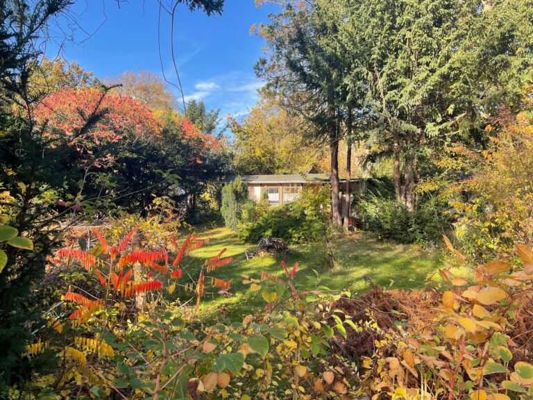 im Garten