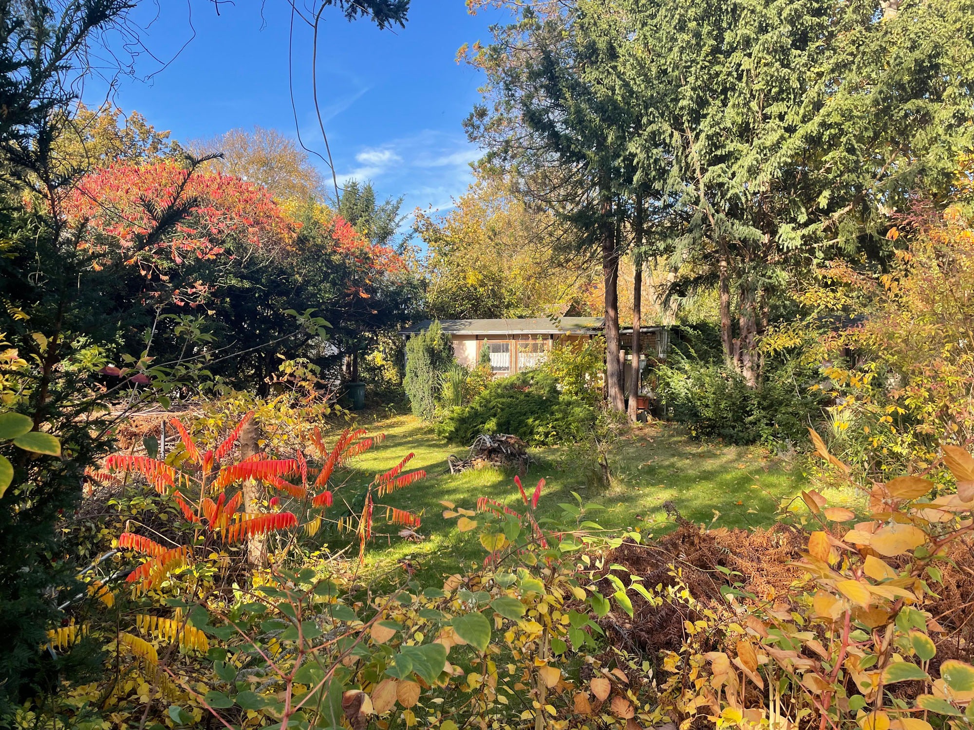 im Garten
