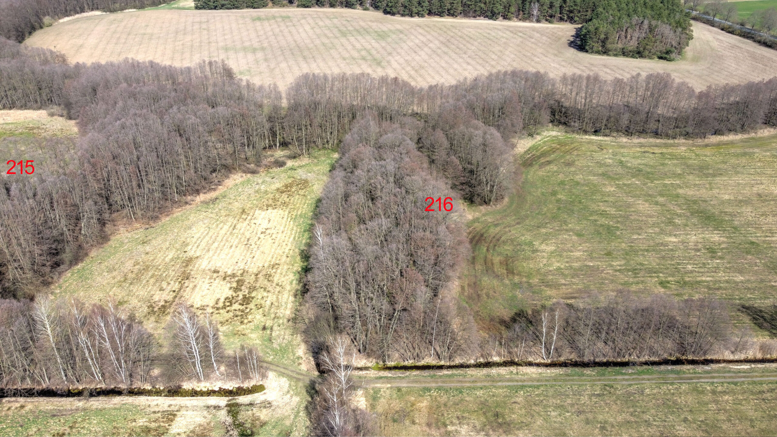 215 und 216 vorne Luft