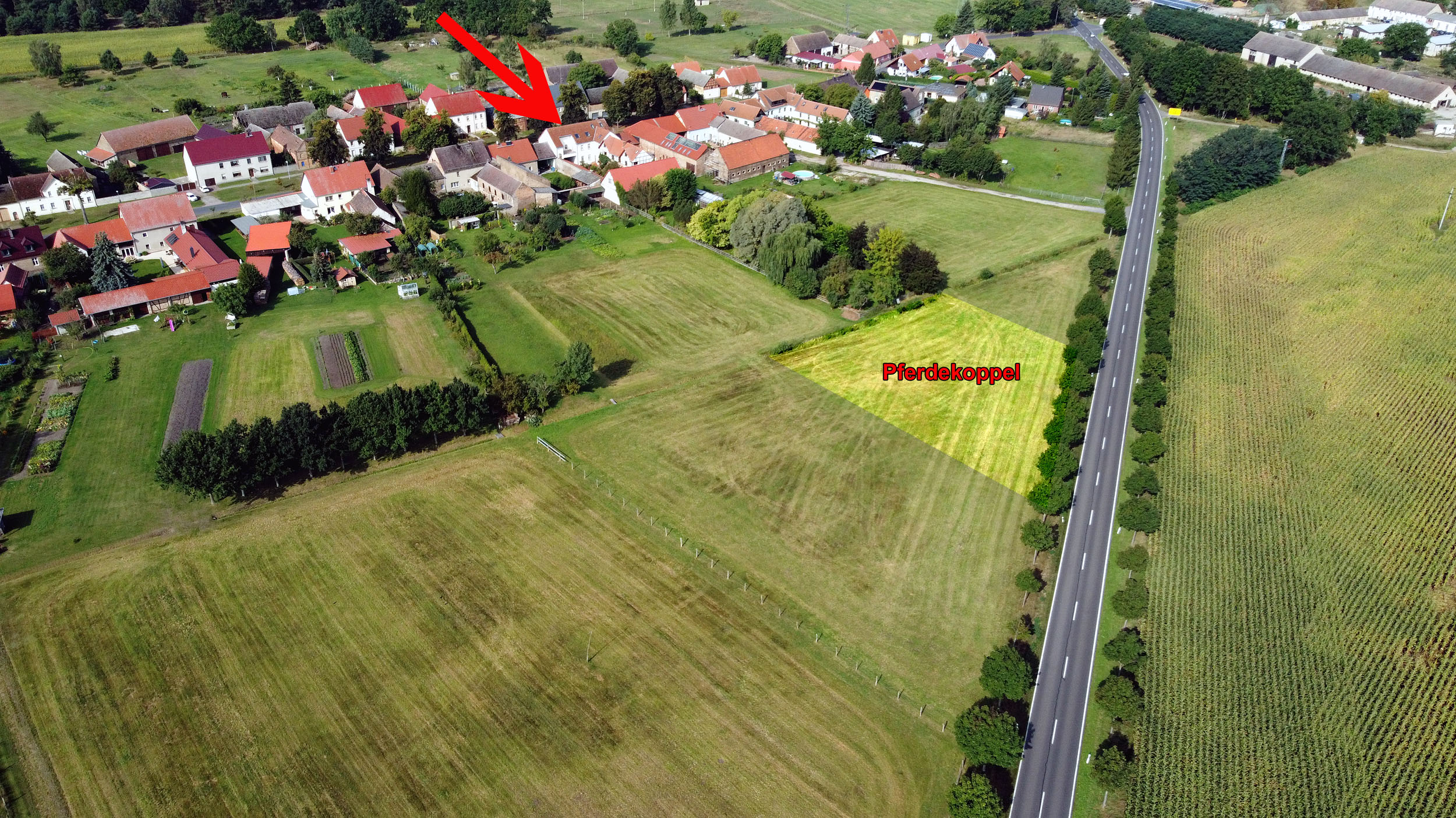 Luftbild mit Koppel