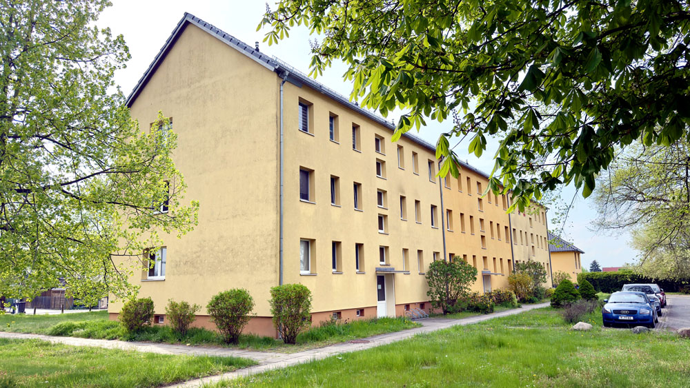Uetz seite